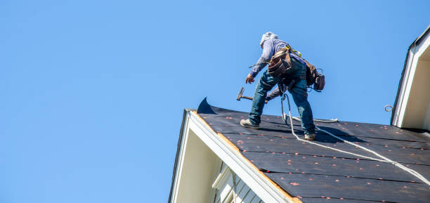 Roof Gutter Cleaning in Camarillo, CA